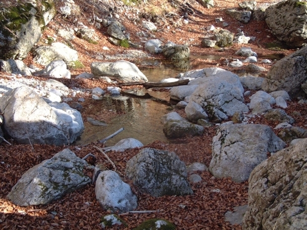 Torrente d''inverno